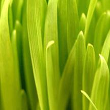 DDOS在线攻击平台