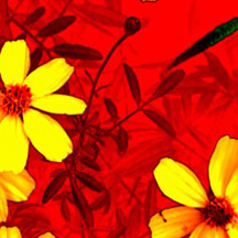 代理价格内部的怎么攻击网站